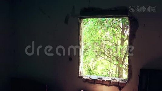 旧的窗户被毁了视频