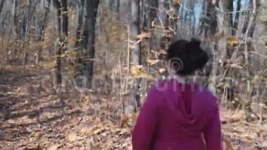 有着北欧步行杆的有动力和专注的女运动员在秋季公园进行有氧强化训练视频