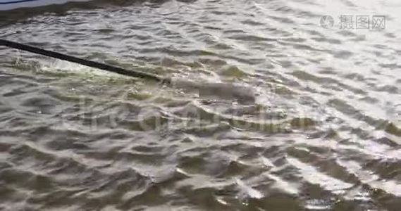 湖上使用桨的高角度视图视频