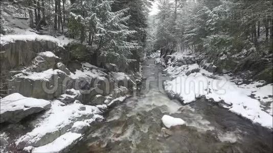 平静的寒流流过白雪覆盖的松树林，冬天的山景，空中无人机拍摄视频