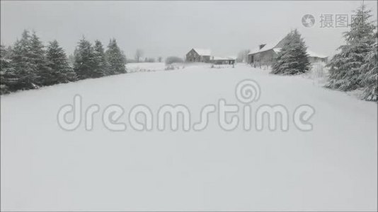 令人惊叹的空中无人机飞行在白雪公主覆盖的田野上，寒冷的冬季景观中有松树视频