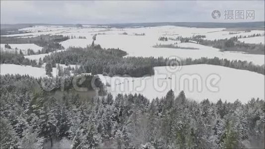 美丽的空中无人机飞行全景，多云的天空，白雪覆盖的田野，山林冬季景观视频