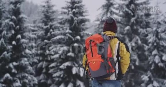 有魅力的游客独自旅行，在一个寒冷的冬天，他带着一个大背袋穿过雪林，快乐地走着视频