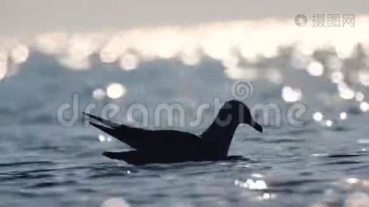 光辉的水，海浪和海岸视频