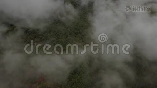 最高的云层和下面的森林，法国，4k视频
