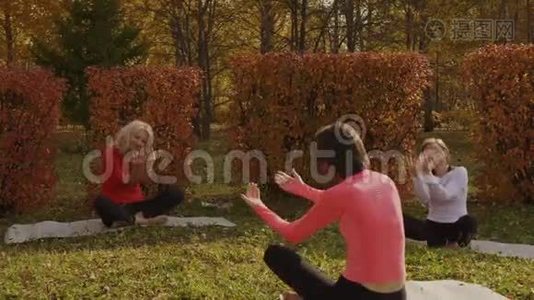 女子团体在秋季公园冥想瑜伽练习。 公园户外健身的女性瑜伽。 快乐的女人放松视频