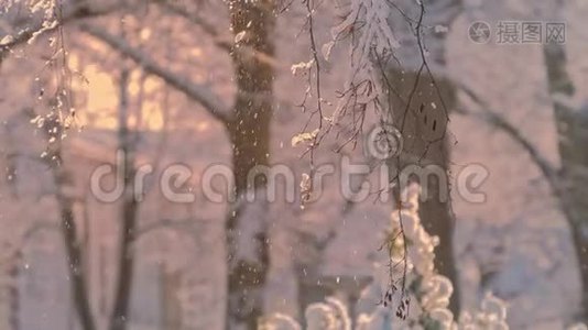 冬天明亮的背景。 有雪堆和树枝的圣诞景观视频