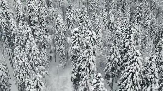 登陆雪山森林.. 冬季景观视频