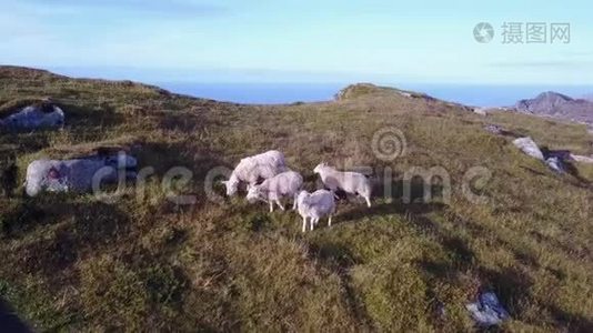 挪威的洛福滕岛和海滩鸟瞰图视频