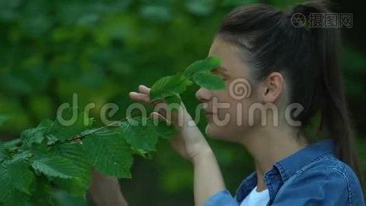 美丽的女人抚摸着树叶，用手指显示出心迹，热爱大自然视频