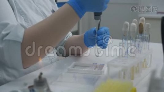 戴着手套的微生物学家在医学实验室里研究细菌。视频