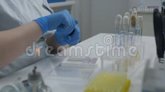 医学实验室的一名妇女检查葡萄球菌对不同物质和抗生素的反应。视频