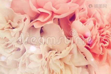 粉色浪漫的花爱情人节视频
