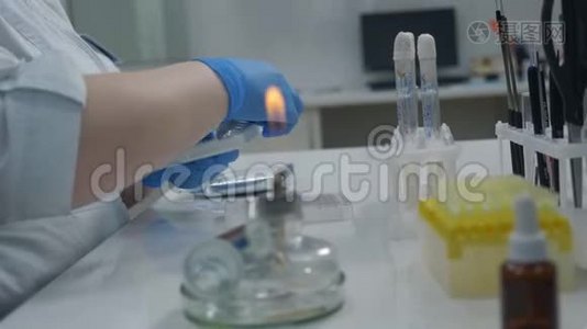 戴着手套的微生物学家在医学实验室里研究细菌。视频
