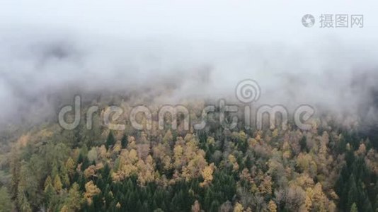 雾在群山之间翻滚，笼罩着秋色的树木视频