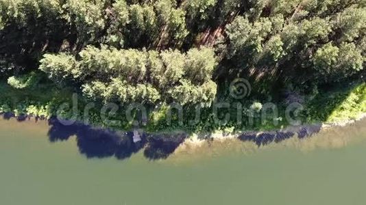 阳光明媚的夏日，松林中的湖岸4k空中俯视视频