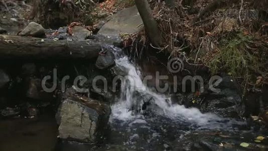 秋天森林里有河堤的山河视频