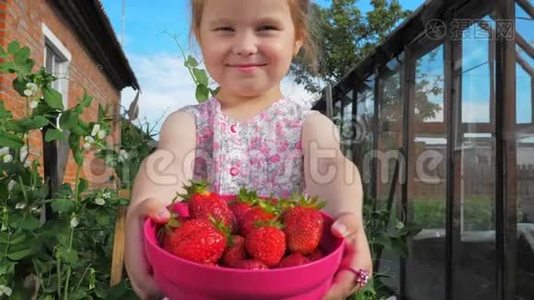 小可爱的漂亮女孩在伸出的手上拿着一个装满草莓的容器。视频