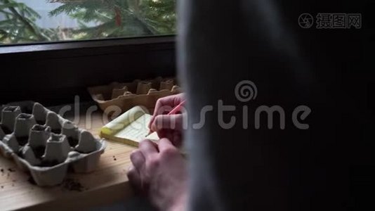 女人在鸡蛋箱里种蔬菜种子视频