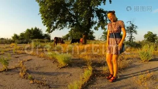 乡村女牛仔在夕阳西下的乡村夏日为奶牛提供牧场视频