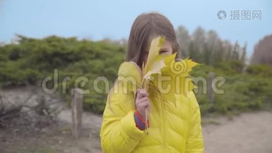漂亮的白人女孩，棕色的眼睛，穿着黄色的外套，把脸藏在黄色的叶子后面。 一幅可爱的肖像视频