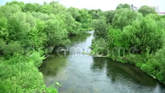 有小河和绿树的夏季景观视频