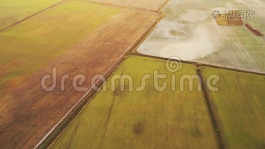 鸟瞰秋空野景. 阳光明媚的夜晚，干净的田野的顶景。 无人机观鸟`眼观。 高视频