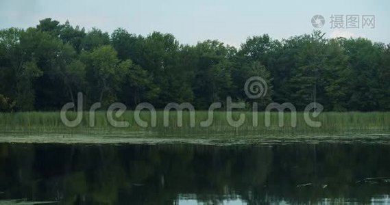 在俯瞰树木和天空的小海湾中宁静的水视频