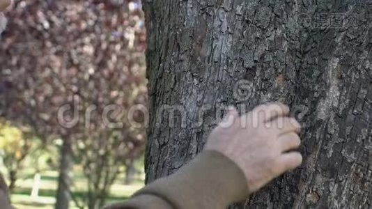 白种人年龄大，手扶着树，与自然相连，乡村休息视频