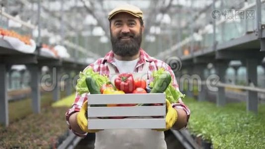 开朗的农民展示有机蔬菜收获箱，温室技术视频