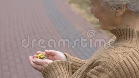 开朗的老太太手里拿着黄色的花，享受着与大自然的联系视频