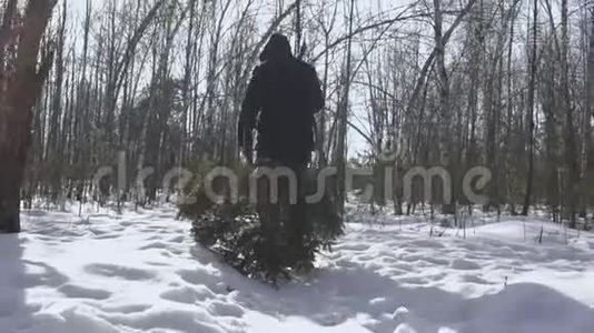 在平安夜和新年之前，一个带着斧头的人把树砍倒回家。 人走在雪地里.. 概念视频