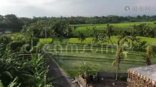 一架无人机飞过印度尼西亚巴厘岛的水稻种植园。视频