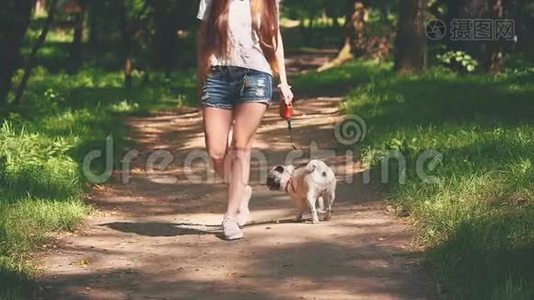 狗狗旁边的一个女孩高兴地跑过小路在自然公园。 慢动作。 慢点。 复制空间。 4K.视频