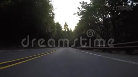 颠簸的行驶穿过树状的道路视频