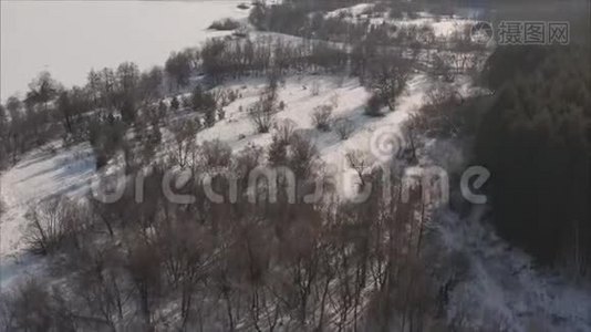 在冬天看到一片覆盖着雪的冰冻森林。 芬兰冬季森林上空飞行，俯视图视频