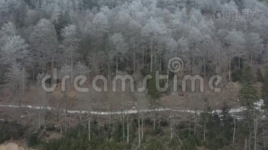 飞过覆盖群山的冬林视频