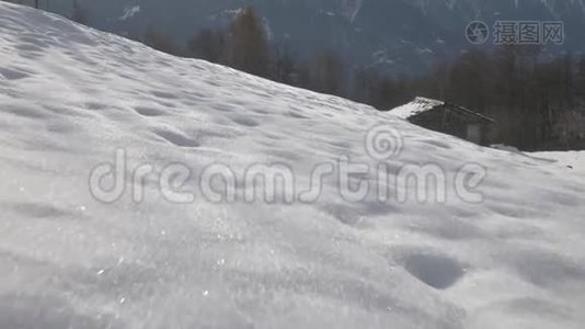 小动物在雪地里奔跑的低角度射击视频