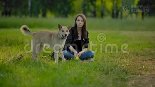 英俊的女孩，坐在草地上，向她的狗扔了一个网球，把它拿回来。视频
