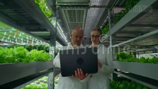 一个男人和一个女人穿着白色外套带着笔记本电脑，科学家沿着走廊垂直农场走去。视频