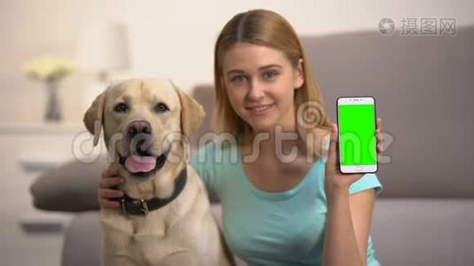 快乐的女人拥抱可爱的拉布拉多犬，显示绿色屏幕智能手机，宠物应用程序视频