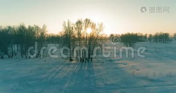 无人驾驶飞机观看寒冷的冬季景观，北极的田野，覆盖着霜雪的树木和清晨的阳光视频