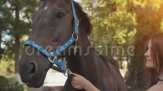 一个年轻女孩吻她心爱的马。视频