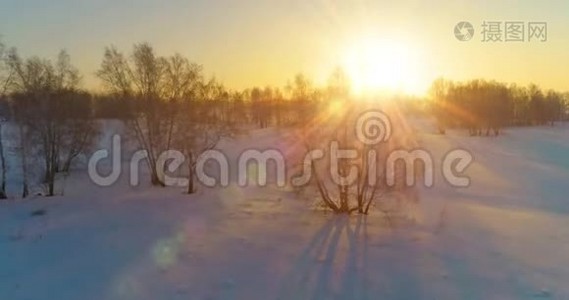 无人驾驶飞机观看寒冷的冬季景观，北极的田野，覆盖着霜雪的树木和清晨的阳光视频