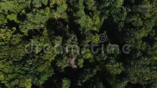 在家里煮饺子，在木板上用饺子做面团和面粉视频