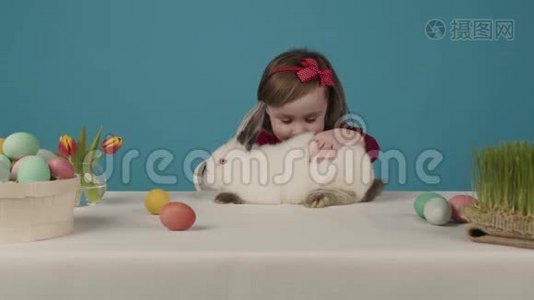 快乐的小女孩和兔子玩。 她给兔子一个复活节彩蛋。 复活节快乐视频