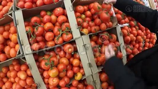 女人选择新鲜的有机番茄在当地的杂货店市场。 新鲜健康食品，素食..视频