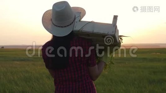 一个带着一盒新鲜蔬菜的女农民正在日落的田野上走着。 清洁质量和视频