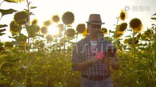 农民在田间使用现代技术。 一个戴着帽子的人在日落时分抱着一个视频