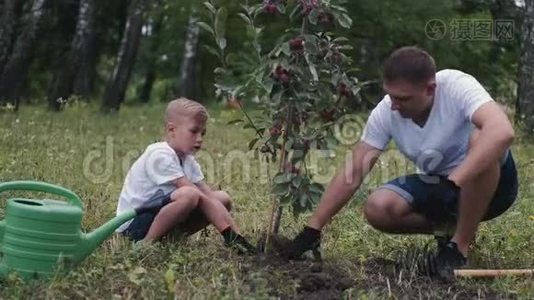 父母和儿子正在树下压土视频